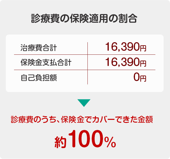 診療費の保険適用の割合