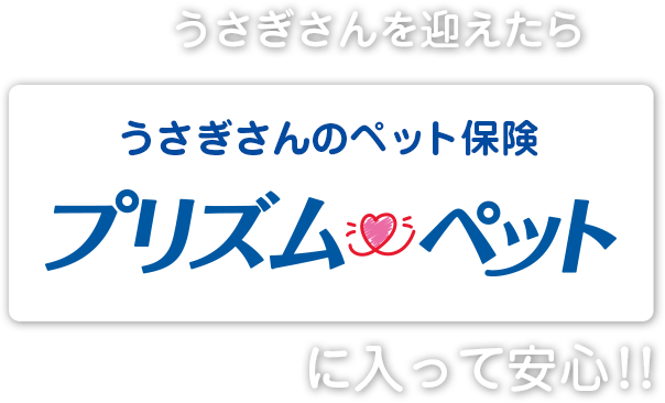 うさぎさんを迎えたらプリズムペットに入って安心