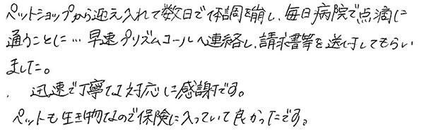 ペットショップから迎え入れて数日で体調を崩し、毎日病院で点滴に通うことに…早速プリズムペットへ連絡し、請求書等を送付してもらいました。
              迅速で丁寧な対応に感謝です。
              ペットも生き物なので保険に入っていて良かったです。
              